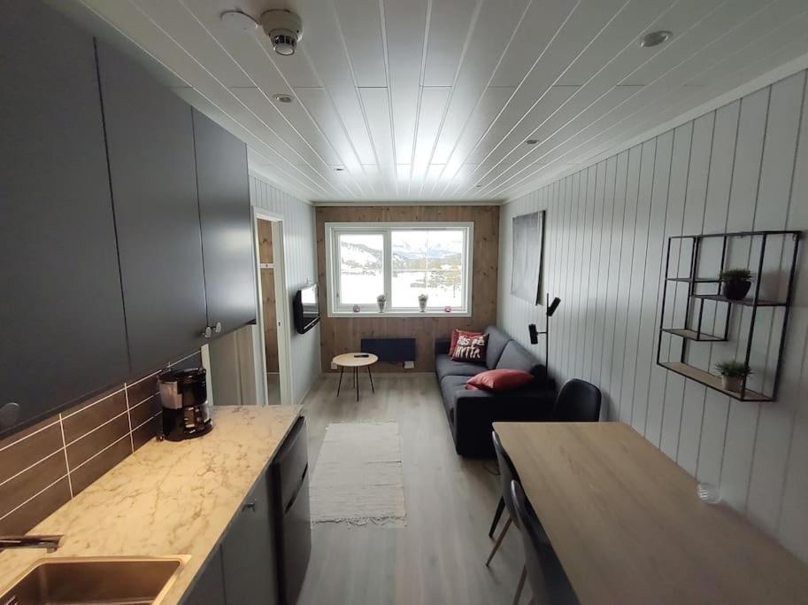 Utleieleilighet 4 Sengeplasser Og Ut Apartment *