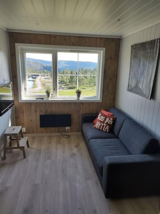 Apartment Utleieleilighet 4 Sengeplasser Og Ut *